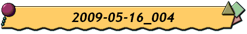 2009-05-16_004