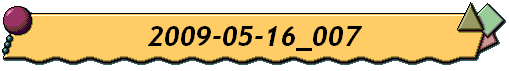 2009-05-16_007