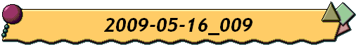 2009-05-16_009