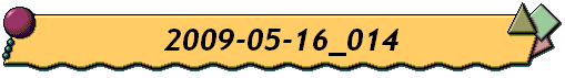 2009-05-16_014
