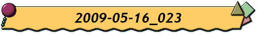 2009-05-16_023