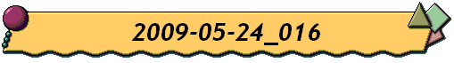 2009-05-24_016