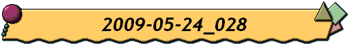 2009-05-24_028