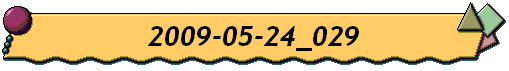 2009-05-24_029