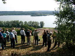 Bild 044 Brom