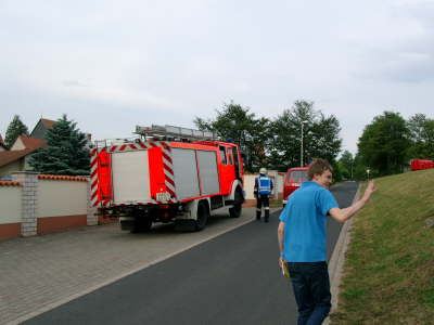 Bild 331