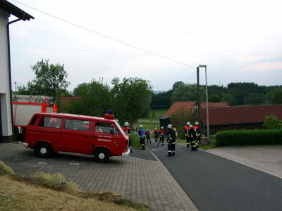 Bild 334