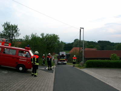 Bild 335