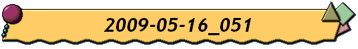 2009-05-16_051