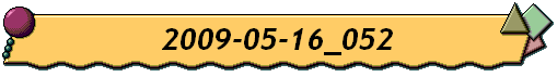 2009-05-16_052