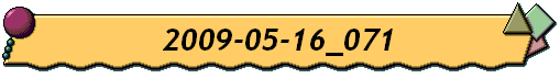 2009-05-16_071