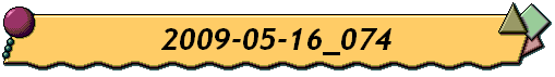 2009-05-16_074