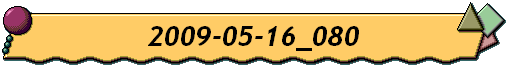 2009-05-16_080